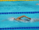 NUOTO - Energy Standard Meeting Ucraina